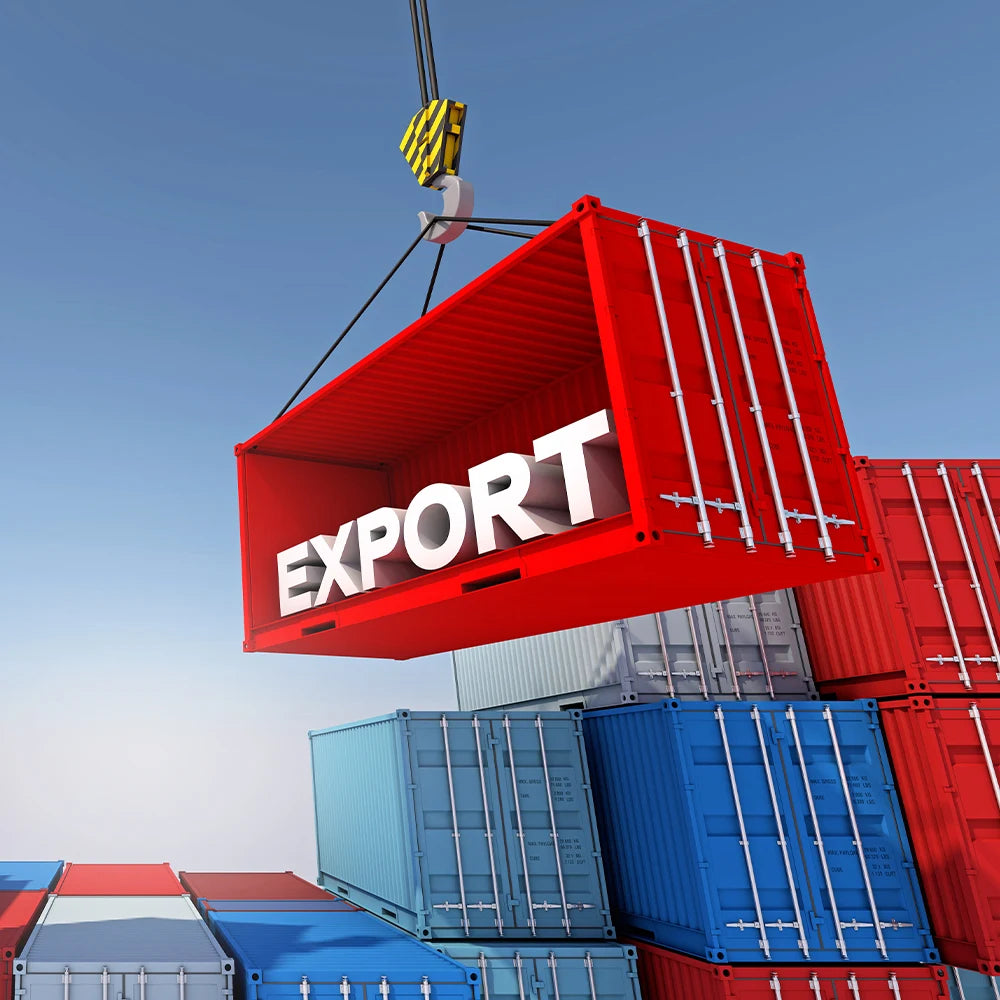 EDP Export Customs