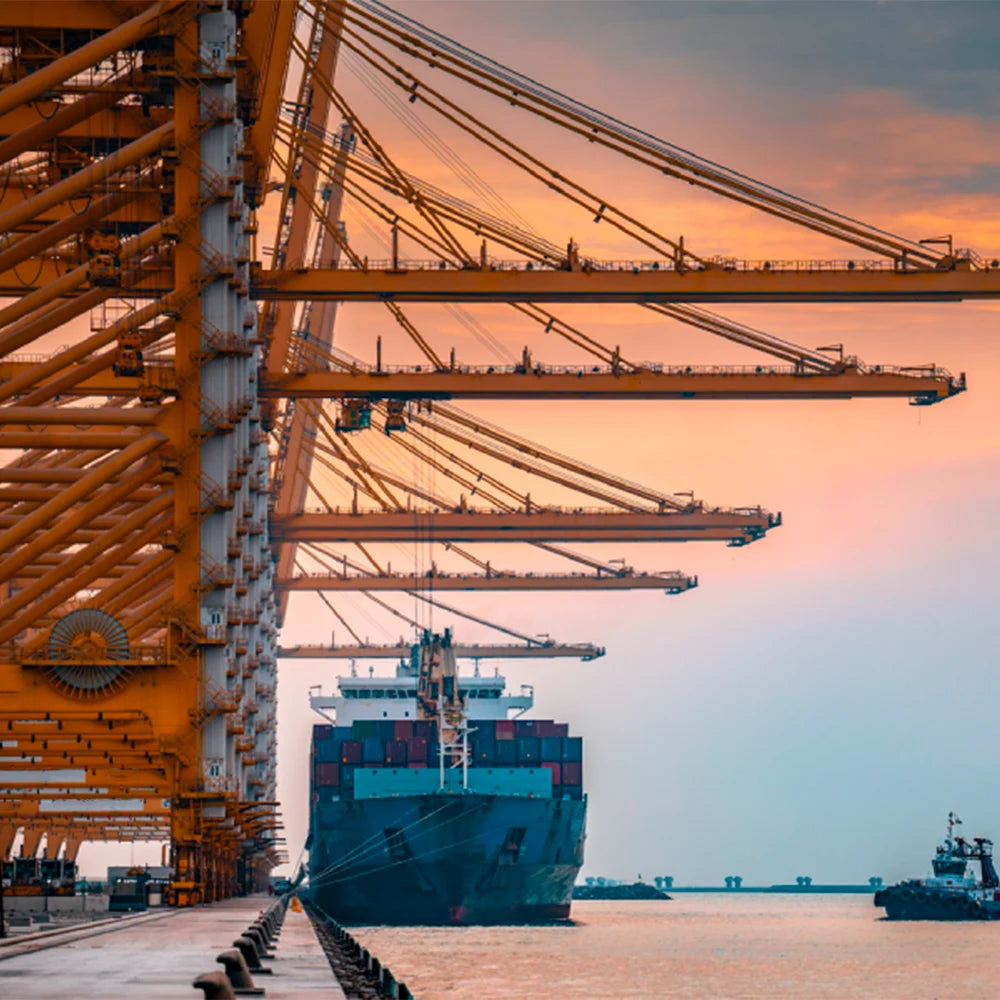 Jebel Ali Inspection Fee